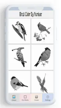 Birds Color By Number, pixel bird coloring Screen Shot 1