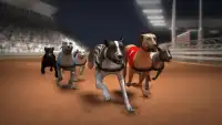 Greyhound Dog Racing Simulator Screen Shot 0