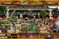 Challenge #136 Land of the Dragon Hidden Objects Screen Shot 0