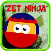 Zet Ninja