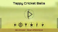 Tappy Cricket Balls Screen Shot 1