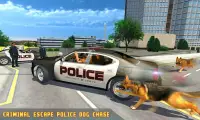 Police Dog Chasing: Crime City Simulator Screen Shot 3