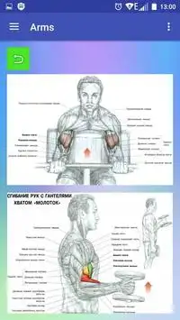 All exercises for all muscles Screen Shot 1