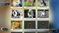 Puzzle Time "Dogs" Screen Shot 3