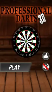 Professional Darts 3D Screen Shot 4