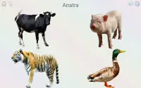 Juega&aprende:animales,colores,números,curiosidade Screen Shot 9
