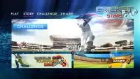 Cricket Stars Bowled Screen Shot 1