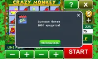 Crazy Monkey slot machine Screen Shot 5