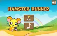 Hamster Runner Screen Shot 0