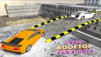 पागल छत के ऊपर कार स्टंट 3 डी Screen Shot 10
