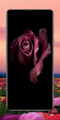 Flower Wallpapers Screen Shot 0