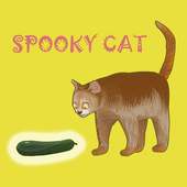 Spooky Cat