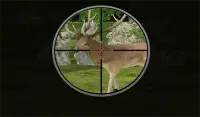 Sniper Hunt: Safari Survival Screen Shot 3