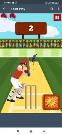 Campeonato de cricket profesional Screen Shot 1