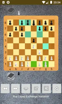 chess openings Screen Shot 0