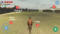Kangaroo Simulator Screen Shot 4