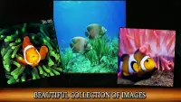 Sea life and dolphins jigsaw puzzles for everyone Screen Shot 6