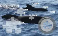 Whale Jigsaw Puzzles Demo Screen Shot 1