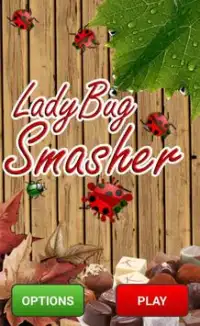 LadyBug Smasher Screen Shot 0