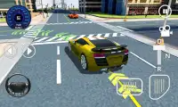 Car Driving Sim 3D Screen Shot 0