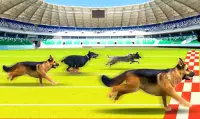 Dog Race Game: New Kids Games 2020 Animal Racing Screen Shot 0