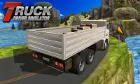 Truck Driver Simulator Screen Shot 0