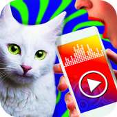 Cat translator - prank app