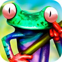 Rain Forest Animals - Wild Frog Survival Sim