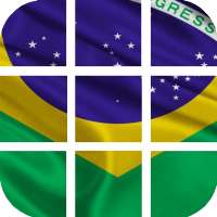 Brazil Puzzle