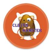 Clever Hamster