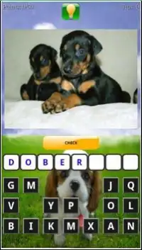 Puppy Dog Breeds Quiz Screen Shot 1
