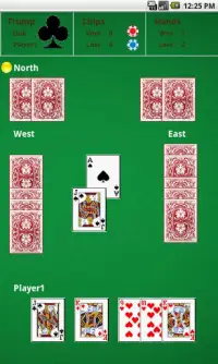 Omi Card Game Screen Shot 0