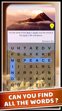 Word Search Bible Puzzle Games Screen Shot 0