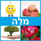 4 תמונות 1 מילה