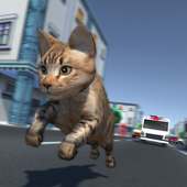 Kitty Cat Rush 3D Game