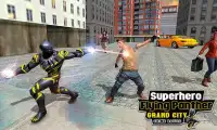 Superhero Flying Panther Grand City Crime Battle Screen Shot 1