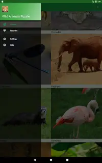 Animaux Sauvages Puzzle Screen Shot 18