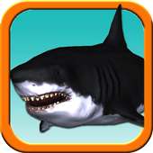 Shark Trainer - Great White