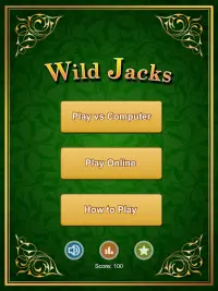 Wild Jacks: Pro Edition Screen Shot 8