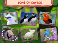 Bird Puzzle Toddler and Kids Screen Shot 3