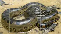 Anaconda Puzzle Screen Shot 2