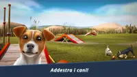DogHotel – Fai giocare i cani e pulisci le cucce Screen Shot 4