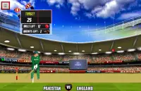 World Cup cricket championship Screen Shot 4