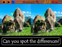 Trova le differenze: Animals! Screen Shot 6