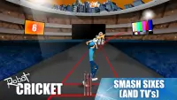 Robot Cricket Screen Shot 3