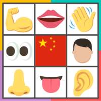Body Parts Quiz Game in Chinese (Learn Chinese)