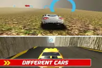 Crazy Car Stunts Simulator Screen Shot 2