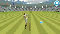 Cricket Bat Ball Hit 3D Screen Shot 4