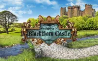 Blackthorn Castle Screen Shot 8