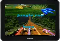 jungle sonic hero Screen Shot 1